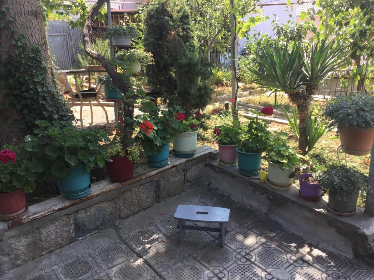 Tradicionale Violeta Villa