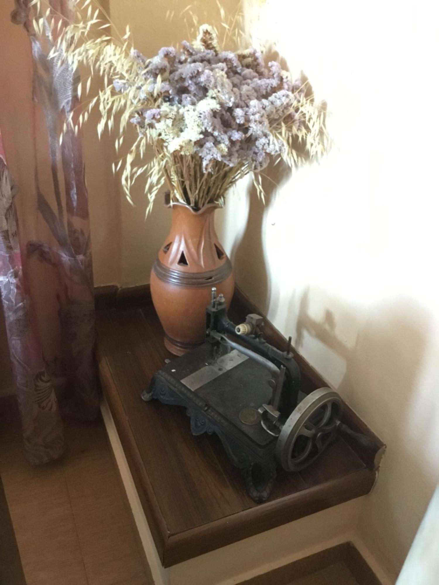 Tradicionale Violeta Villa *